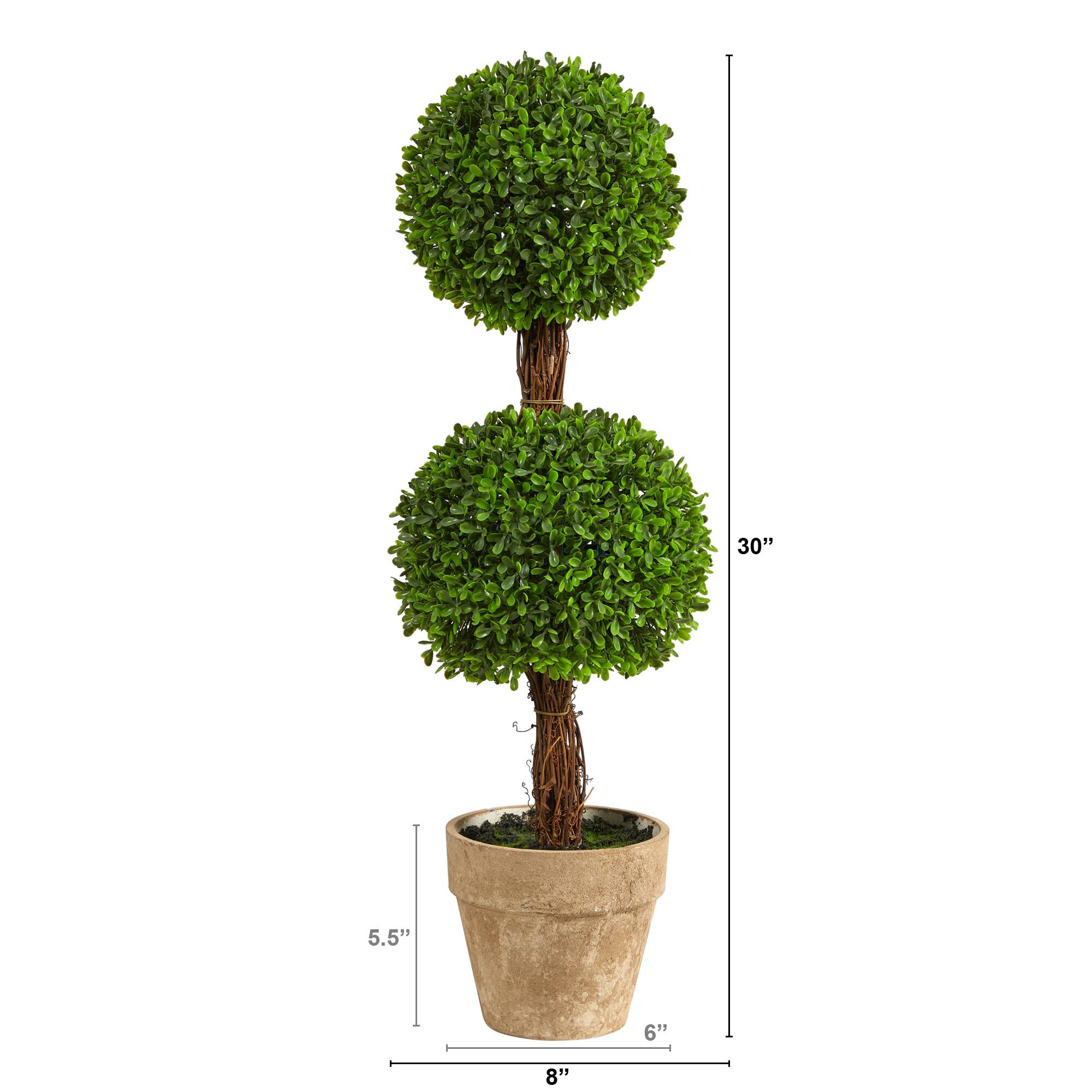 2.5ft. Potted Boxwood Double Ball Topiary Tree